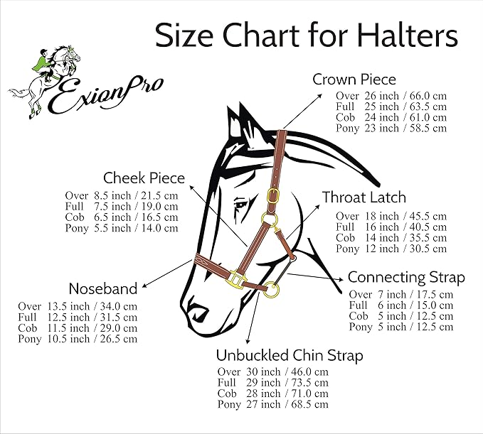 Exion Leather Horse Halter with Fancy Stitching | Black & Brown Padded Halter with Brass Hardware | Quick-Release Snap | Adjustable Leather Halter – Cob, Full, Over, Pony Sizes-PurrikoPets