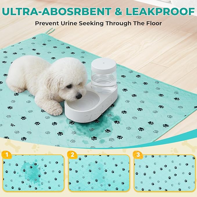 Fostanfly Washable Pee Pads for Dogs, 2 Pack Large 54"x54" Ultra-Absorbent and Leak-Proof Non-Slip Reusable Potty Training Pads for Dogs, Cats, Puppy, Potty of Add 8 Lanyards, Green-PurrikoPets