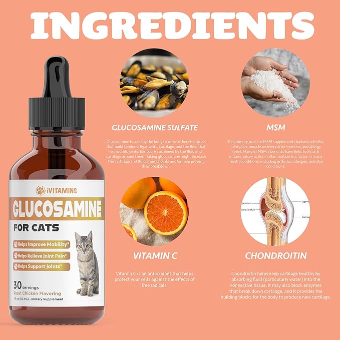Glucosamine for Cats | Cat Glucosamine | Glucosamine for Cats Liquid | Cat Joint Supplement | Joint Supplement for Cats | Cat Joint Pain Relief | Joint Support for Cats | 1 fl oz: Chicken Flavor-PurrikoPets