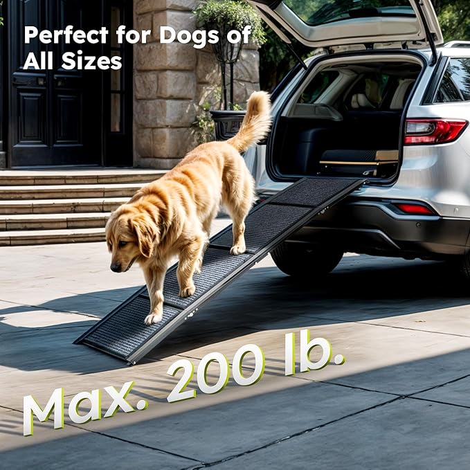 Dog Ramp for Car, 63" Folding Pet Ramp for Large Dogs up to 200 lb, 17" Wide Car Ramp for Dog, Portable Pet Stair Ramp with Nonslip Rug Surface, Outdoor Dog Ramp for Truck SUV High Bed Couch-PurrikoPets