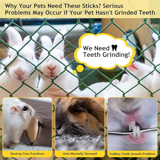 600g Organic Apple Sticks Small Animals Molar Wood Treats Toys for Chinchillas Guinea Pig Rabbits Hamster Gerbil Parrot Bunny Chew Stick Toys, 21.2 OZ-PurrikoPets