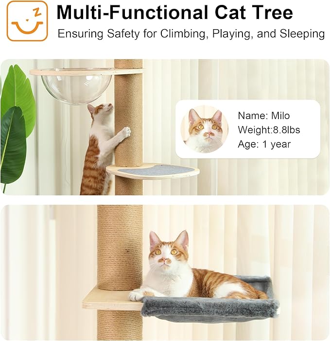 FUKUMARU Floor to Ceiling Cat Tree, 6 Level Adjustable Height (5.7-9.8 ft) Climbing Tower with Thickened Scratching Posts, Cats Activity Center with Transparent Capsule and Cozy Hammock-PurrikoPets