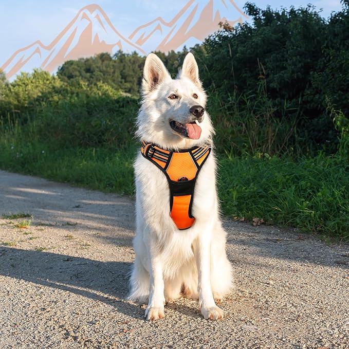 Eagloo Dog Harness for Large Dogs, No Pull Service Vest with Reflective Strips and Control Handle, Adjustable and Comfortable for Walking, No Choke Pet Harness with 2 Metal Rings, Orange, XL-PurrikoPets