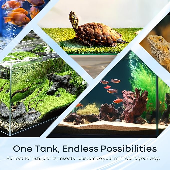 3 Gallon Glass Fish Tank Cube, Small Aquarium Fish Bowl for Betta Goldfish Snails Shrimp Aquatic Planting, Easy to Maintain Ultra Clear Rimless Design for Desktop Small Spaces-PurrikoPets