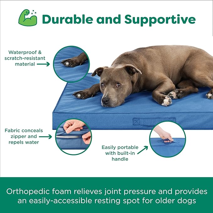 FurHaven Cooling Dog Bed – Medium Foam Mattress for Joint Pain Relief, Waterproof Liner, Removable Washable Cover, Durable for Outdoor Use, Deluxe Grid Indoor/Outdoor Bed – Blue, Medium-PurrikoPets