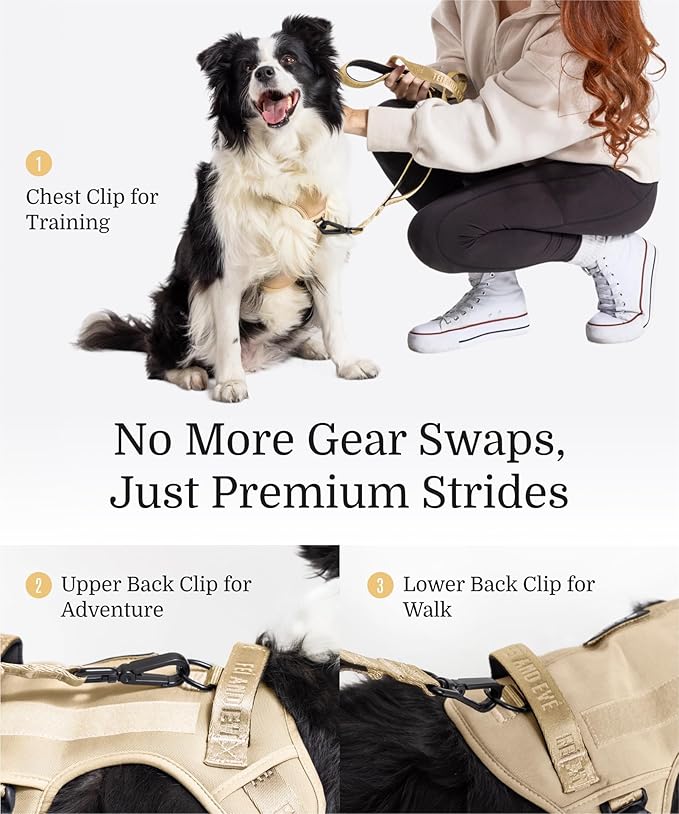 2025 New Edition, Fei & Eve MagEase Dog Harness - 3-Second Magnetic Buckles | 3-Point No-Pull Control | Heavy-Duty 900D Nylon | Dual Safety Handles | Breathable Mesh | Adjustable Fit,X-Large,Champagne-PurrikoPets