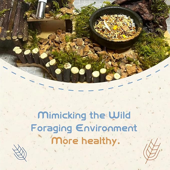 Garden Fruit & Vegetable Hamster Food Mix Natural Small Pet Food Made for Hamsters 1LB Critical Care Healthy Dwarf Hamsters Feed New Packaging-PurrikoPets