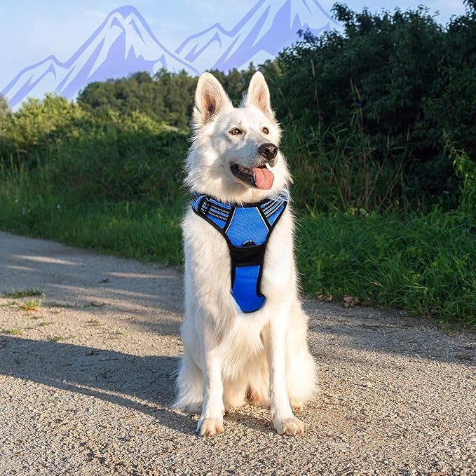 Eagloo Dog Harness for Large Dogs, No Pull Service Vest with Reflective Strips and Control Handle, Adjustable and Comfortable for Walking, No Choke Pet Harness with 2 Metal Rings, Blue, XL-PurrikoPets