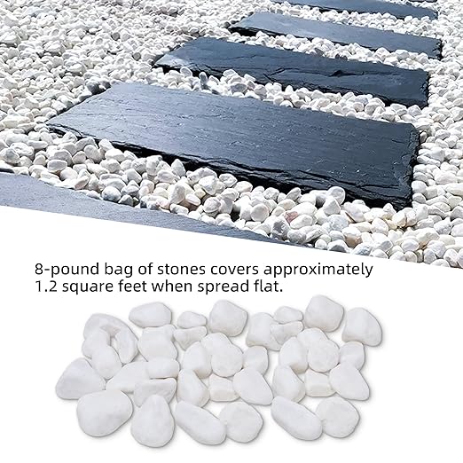 8LB 1"-2" White River Rocks for Plants, Polished Pebbles for Garden Landscaping, Planters, Aquariums, Vase Fillers – Indoor & Outdoor Decor-PurrikoPets