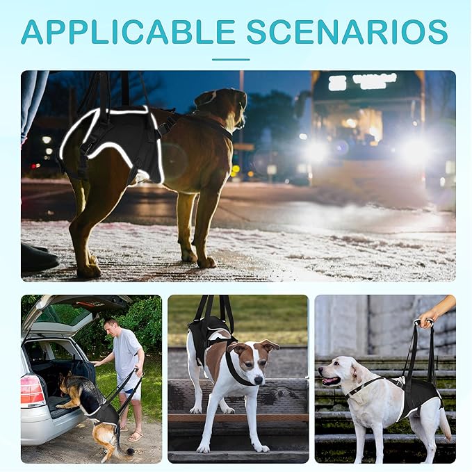 Dog Hip Support Brace – Rear Leg Lift Harness for Mobility & Post-Surgery Recovery, with Chest Straps and Adjustable Elastic Buckles, Customization-PurrikoPets