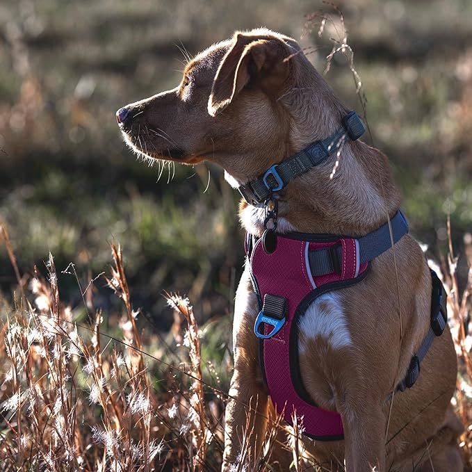 Embark Adventure Dog Harness, Reflective Trim No Pull Dog Harness for Large Dogs - Military Grade Nylon, Front Clip with Gel Lined Handle.-PurrikoPets