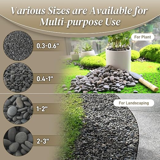 5 lbs Mexican Beach Pebbles, 2-3 Inch Decorative River Rocks for Fish Tank Aquarium Fountain, Decorative Pebbles for Garden Landscaping, Home Décor, Outdoor Paving Walkways Pathways Backyard-PurrikoPets