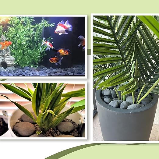 7LB River Rocks,Mexican Beach Pebbles for Plants,Potting,Garden Landscape Stone Paving Stone Grey 1Inch - 2Inch-PurrikoPets