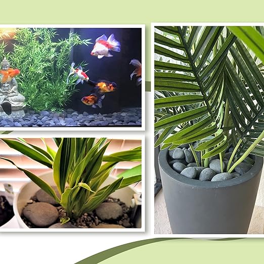 45LB River Rocks,Mexican Beach Pebbles for Plants,Potting,Garden Landscape Stone Paving Stone Grey 1Inch - 2Inch…-PurrikoPets