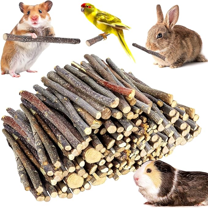 900g/2lb Small Apple Sticks Animals Molar Wood Treats Toys for Rabbits Chinchillas Guinea Pig Hamster Gerbil Parrot Bunny and Small Animals Chew Stick Toys Treats-PurrikoPets