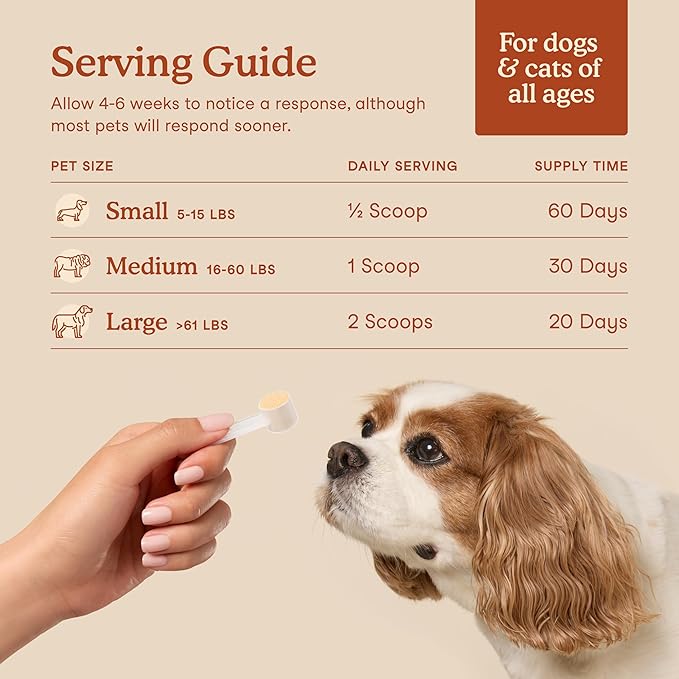 Fera Pets Probiotics for Dogs & Cats with Prebiotics - USDA Organic - Gut Health Powder Supplement with 12 Strains and 5 Billion CFUs - Supports Immunity, Energy and Skin & Coat - 60 Scoops-PurrikoPets