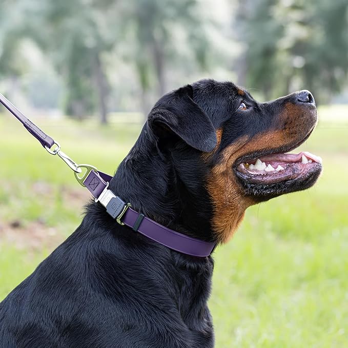 Dogline Biothane Waterproof Dog Collar with Herm Sprenger Stainless Steel Quick Release Buckle – Heavy Duty Tactical Durable Collar for Dogs – Comfortable and Safe Pet Collar, W 1" L 15-25", Purple-PurrikoPets
