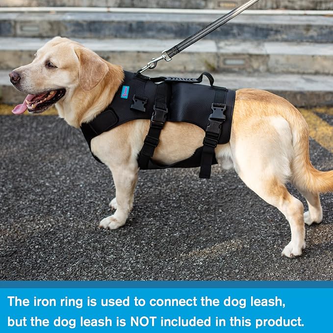 Dog Lift Harness, Rehabilitation Lifts Vest for Dogs, Support & Recovery Sling, Adjustable Breathable Lifting Straps for Old, Joint Injuries, Arthritis, Paralysis Dogs Walk (S, Black)-PurrikoPets