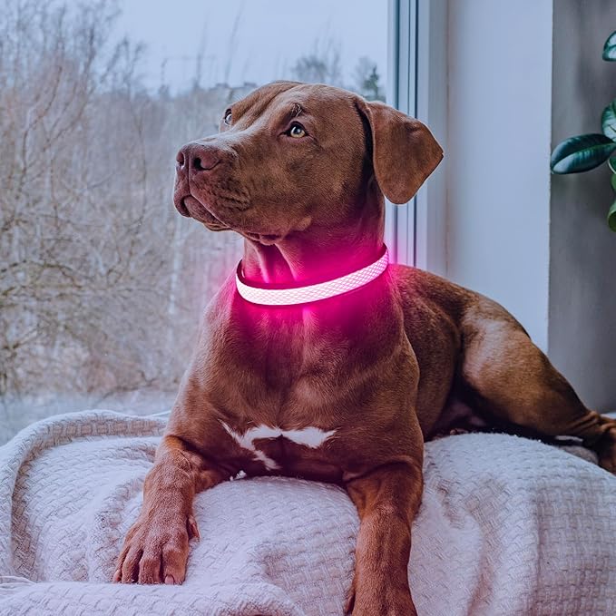 Flashseen LED Dog Collar, Light Up Dog Collar USB Rechargeable, Brightest Dog Lights for Night Walking, Adjustable Dog Collar Light for Dog Safety(Small, Candy Pink)-PurrikoPets