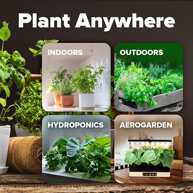 20 Heirloom Vegetable Seeds - 10,000+ Survival Seeds and Emergency Prepper Gear - Non GMO Vegetable Seeds for Planting Home Garden Variety Pack-PurrikoPets