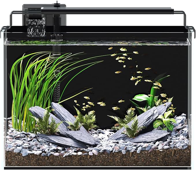 5 Gallon Fish Tank Aquarium Kit with Filter, LED Light with Timer, Siphon Vacuum Cleaner, Lid, Self-Cleaning Glass Rimless Betta Tank-PurrikoPets