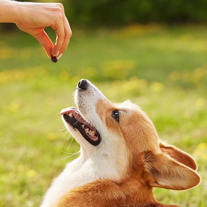 1TDC WorksSoWell Dual Action Joint Supplement for Dogs & Cats - Hip and Joint Supplement for Large Breed & Small Breed - Also Great for Oral Health - Muscle & Stamina Recovery & Arthritis - 120ct-PurrikoPets