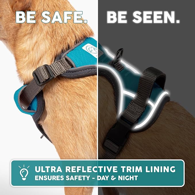 Embark Adventure Dog Harness, Reflective Trim No Pull Dog Harness Medium Sized Dogs - Military Grade Nylon, Front Clip with Gel Lined Handle.-PurrikoPets