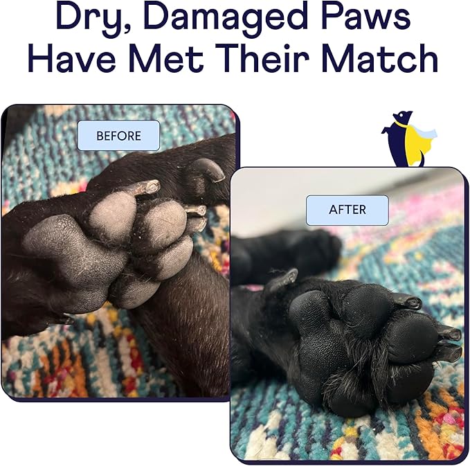 Finn Paw Hero | Natural Revitalizing Dog Paw Balm | Protect, Nourish & Repair from Wear, Damage & Dryness - 1.75 oz-PurrikoPets