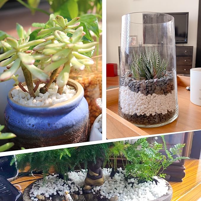 45lb White Cactus Pea Gravel Rocks,1/4 Inch Pebbles for Indoor Plants, Natural Succulent Rock and River Rocks Decorative for Aquariums, Vases, Outdoor Gardening, Top Dressing for Potted Plants-PurrikoPets