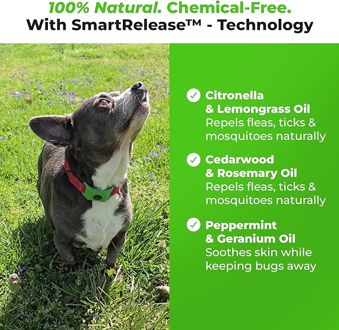 FurLife Green Dog Tag, Flea and Tick Prevention for Dogs - Waterproof Pendant for Collar, Safe for All Breeds-PurrikoPets