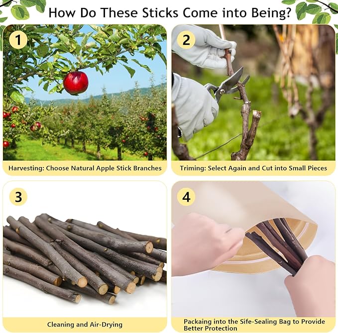 600g Organic Apple Sticks Small Animals Molar Wood Treats Toys for Chinchillas Guinea Pig Rabbits Hamster Gerbil Parrot Bunny Chew Stick Toys, 21.2 OZ-PurrikoPets