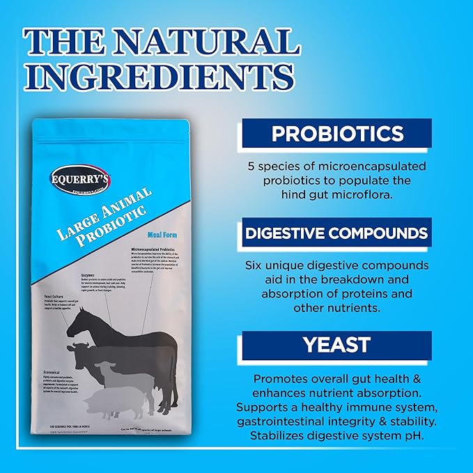 Equerry's Large Animal Probiotic | Supplements for Gut Health and Nutrient Absorption | Probiotics and Digestive enzymes for Horses, Cows, Goats, Sheep, Pigs, 160 Feedings (20lbs) for 1000 lb Animal-PurrikoPets