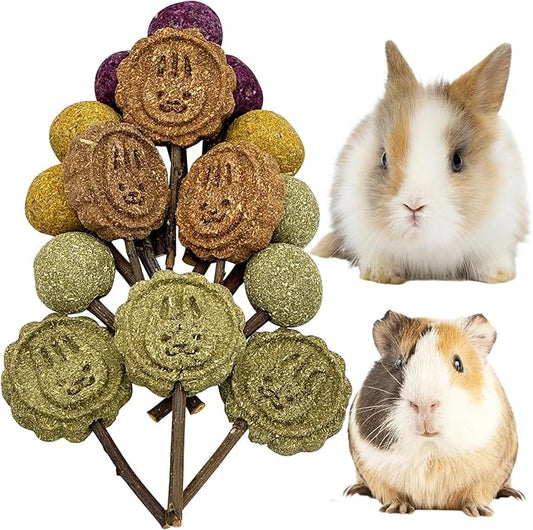 Fhiny Rabbit Chew Toys, 15 PCS Natural Bunny Lollipop Chew Sticks Handmade Guinea Pig Molar Treats for Teeth Small Animals Snacks for Guinea Pig Bunny Chinchilla Hamster Gerbil Teeth Care-PurrikoPets