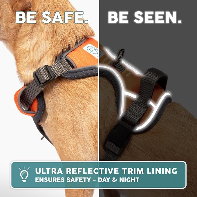 Embark Adventure Dog Harness, No-Pull Reflective Trim Dog Harness for Small, Medium & Large Dogs - Military Grade Nylon, 2 Leash Clips & Gel Lined Handle. Soft & Padded Puppy Dog Vest for Any Breed-PurrikoPets