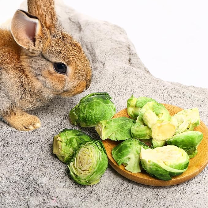 Abizoo Freeze Dried Brussels Sprouts Rabbit and Hamster Chew Treats Resealable Jar for Hamsters Bunny Guinea Pigs Groundhogs Natural Fiber Vitamin Snacks-PurrikoPets