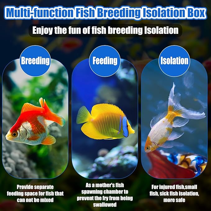 2 Pcs Breeder Box for Fish Tank Aquarium Breeder Separation Net Breeding Box with Suction Cup for Small Fish Shrimp Clownfish Guppy(White,M)-PurrikoPets