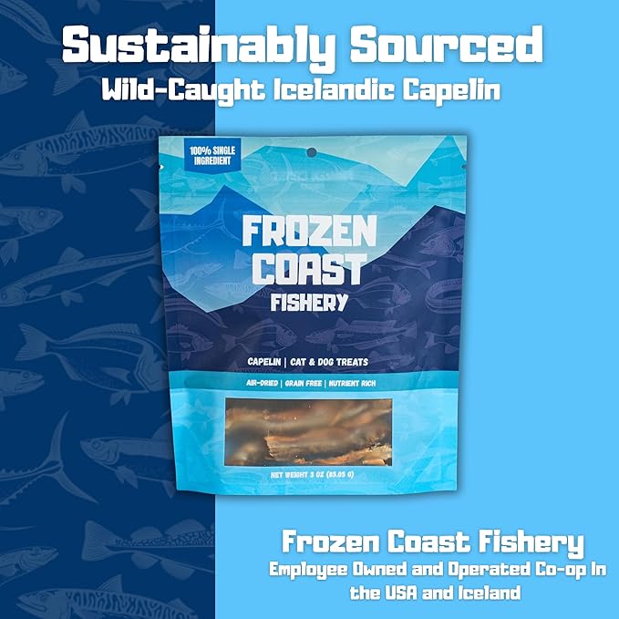 Frozen Coast Capelin Cat & Dog Treats- Single-Ingredient, All-Natural, High-Protein, Omega-3s, Fish Snacks (3 oz Bag)-PurrikoPets