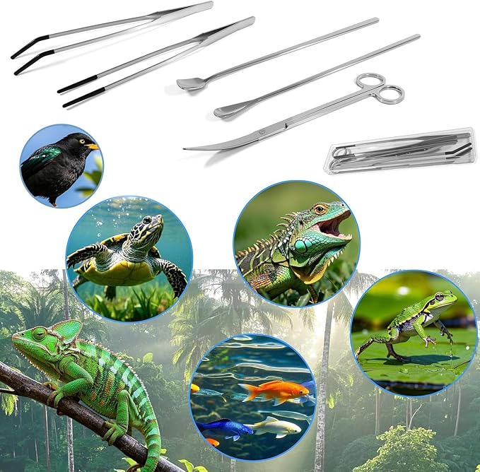5 Pcs Reptile Feeding Tools Set with Silicone Tips - Extra Long Straight&Curved Tongs, Spoons, Scissors - Stainless Steel Terrarium Feeder Kit for Bearded Dragons, Lizards, Snake, Spiders, Aquarium-PurrikoPets