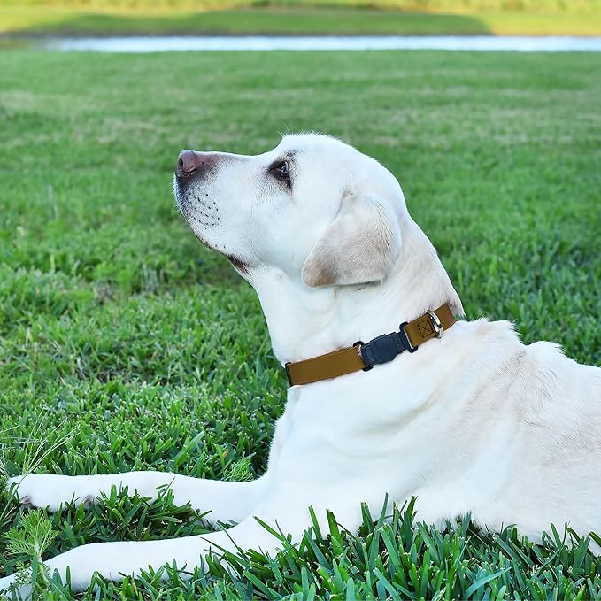 Dogline Biothane Waterproof Dog Collar with Herm Sprenger Stainless Steel Quick Release Buckle – Heavy Duty Tactical Durable Collar for Dogs – Comfortable and Safe Pet Collar, W 3/4" L 12-19", Brown-PurrikoPets