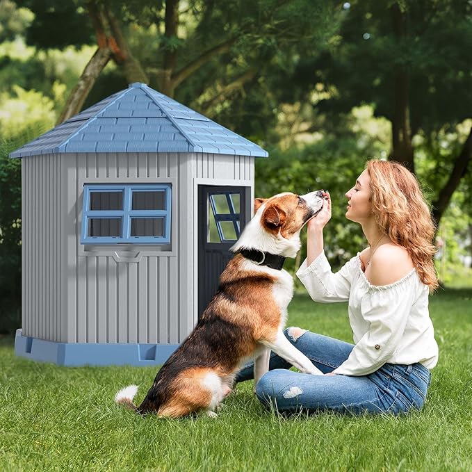 DRATO Dog House Indoor Outdoor Durable Large Dog Shelter with Outside Dog Kennel with Window and Elevated Floor for Small Medium Dogs (Blue, by)-PurrikoPets