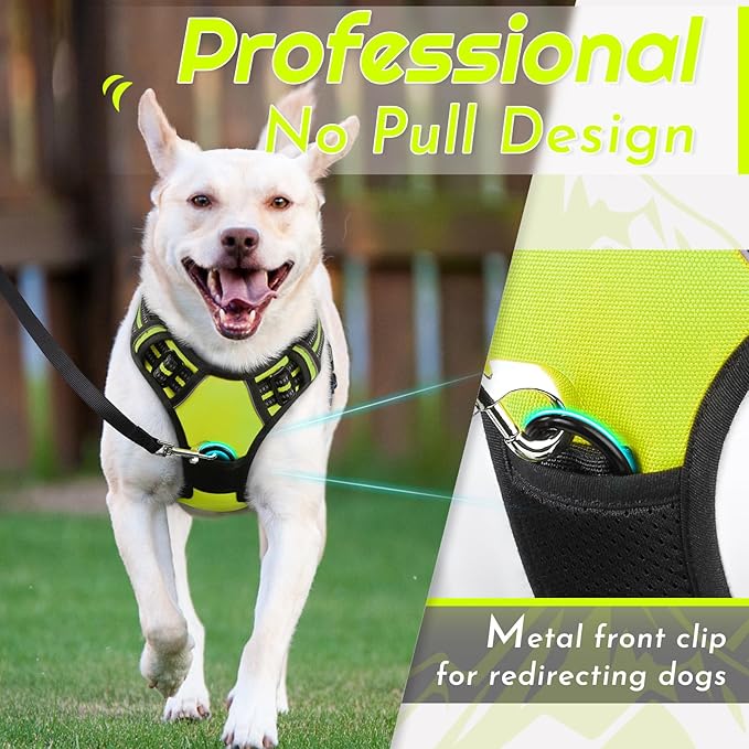 Eagloo Dog Harness Small Sized Dog, No Pull Service Vest with Reflective Strips and Control Handle, Adjustable and Comfortable for Walking, No Choke Pet Harness with 2 Metal Rings, Green, S-PurrikoPets