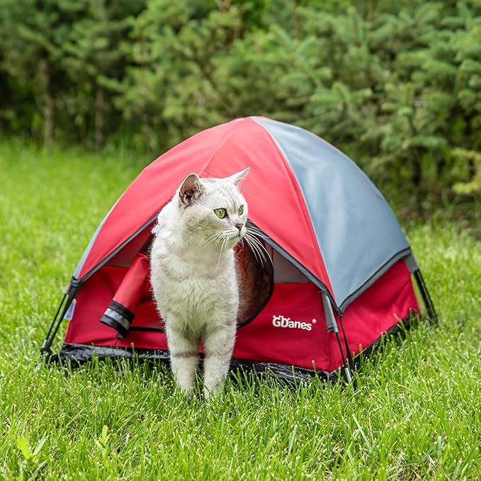 GDanes Cat House Portable Indoor/Outdoor Red Cat Tent for Cats and Small Dogs with Soft Pad-PurrikoPets