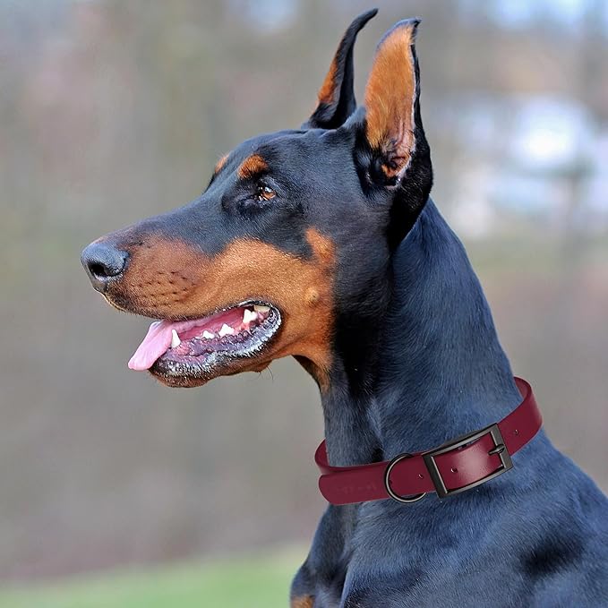 Dogline Biothane Waterproof Dog Collar Strong Coated Nylon Webbing with Black Hardware Odor- Proof for Easy Care Easy to Clean High Performance Fits Small Medium or Large Dogs, Merlot Burgundy-PurrikoPets