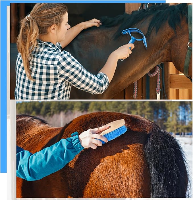 Abbylike 12 Pieces Horse Grooming Kit Racing Festival Tack Room Supplies Horse Brush Sets Equine Care Cleaning Kit Shedding Grooming Massaging Tools(Blue)-PurrikoPets