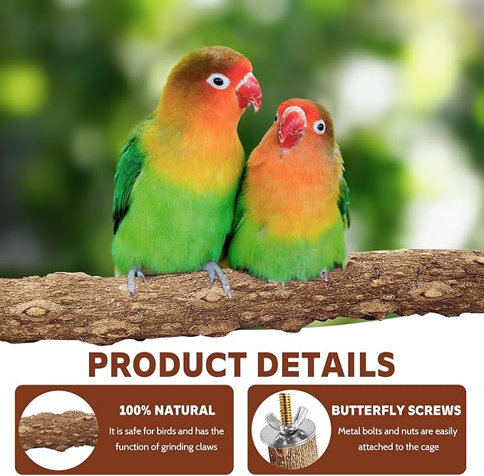 7-Piece Bird Perch Set: 3 Grapevine Paw Grinding Forks, 2 Wood Stands & 2 Hammocks - Cage Accessories for Parakeets, Cockatiels, Conures, Budgies-PurrikoPets