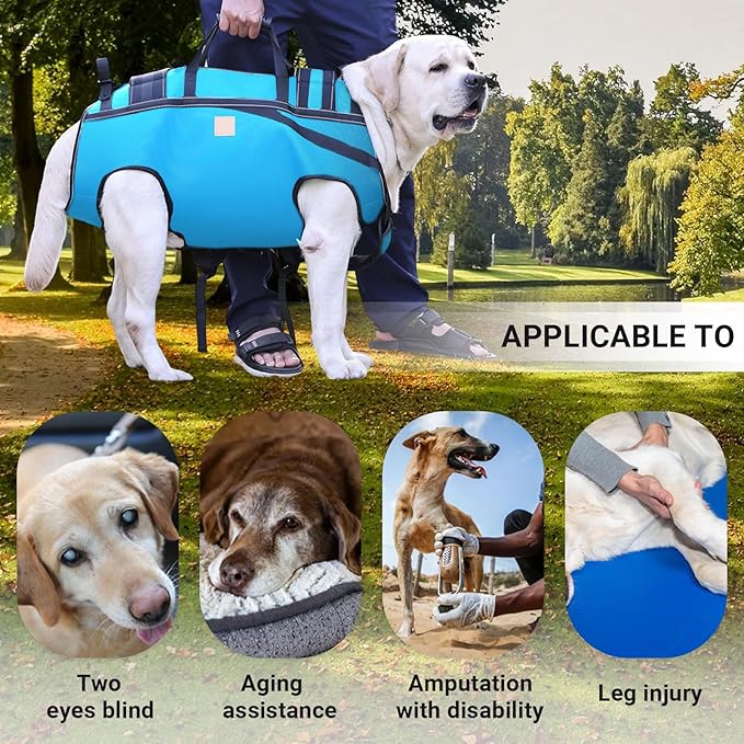 Dog Lift Harness Backpack Carrier for Large Dogs, Full Body Sling with Handle, Dog Harness for Joint Injuries, Arthritis, Ideal for Stairs, Elderly Dogs (Blue XX-Large 50-66 LBS)-PurrikoPets
