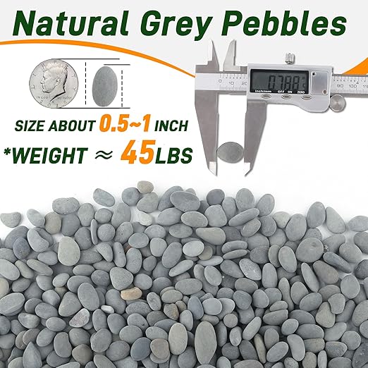 5 lbs Mexican Beach Pebbles, 0.4-1 Inch Natural River Rocks for Indoor Plants Vase Fish Tank Aquarium Fountain, Decorative Stone for Landscaping Garden Paving Walkways Backyard, Grey-PurrikoPets