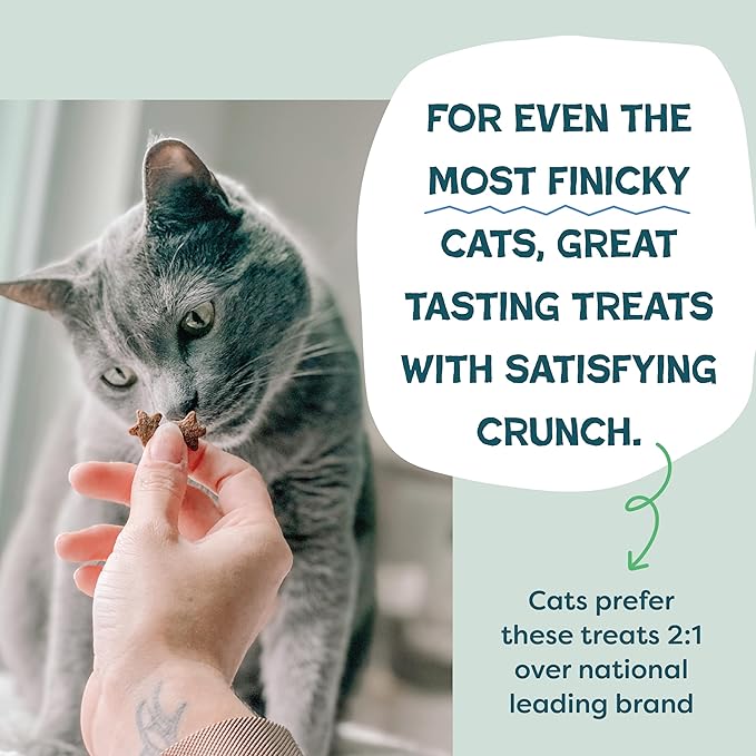 Shameless Pets Digestive Health Catnip Chicken Crunchy Cat Treats-PurrikoPets