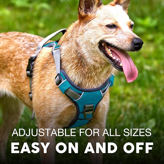 Embark Adventure Dog Harness, Easy On and Off with Front and Back Leash Attachment Points & Control Handle - No Pull Training, Size Adjustable and No Choke (Small - Teal Blue)-PurrikoPets