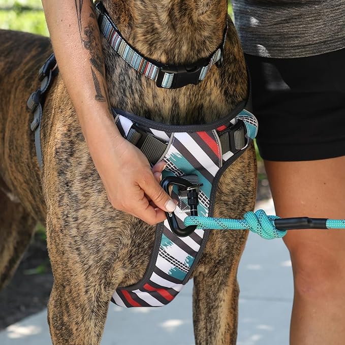 Embark Adventure Dog Harness, Reflective Trim No Pull Dog Harness Medium Sized Dogs - Military Grade Nylon, Front Clip with Gel Lined Handle.-PurrikoPets